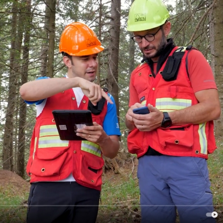 Nuovo video del progetto: analisi sulle criticità operative nel ripristino di foreste danneggiate